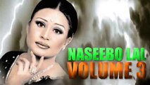Naseebo Lal - Dil Taan Pagal Hai  Pakistani singer RASHID GORSI