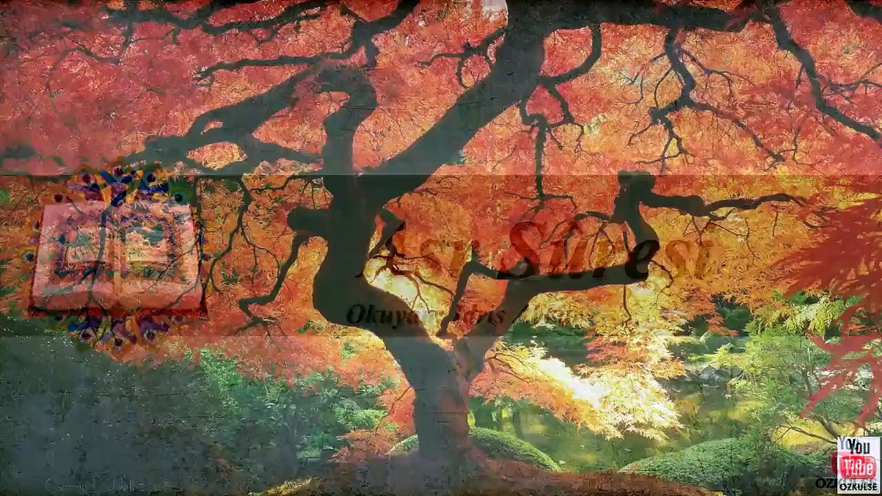 Surah Al-Asr   103 By  Shaikh Idrees Abkar