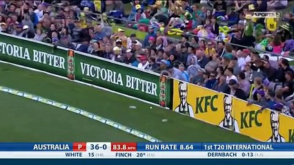 Australia vsEngland T20  29 Jan  2014  full match highlights