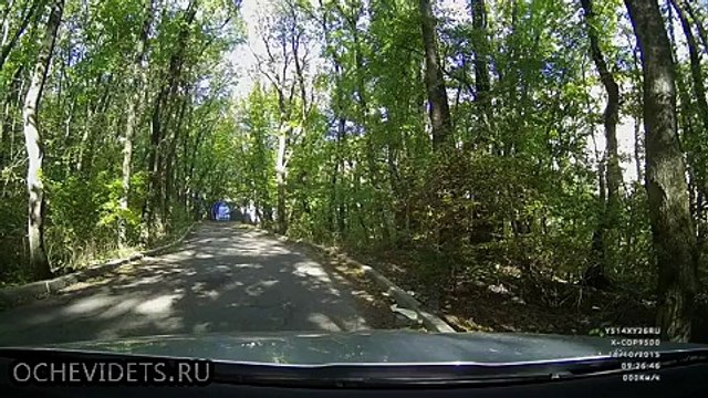 Автор ищет Фокус