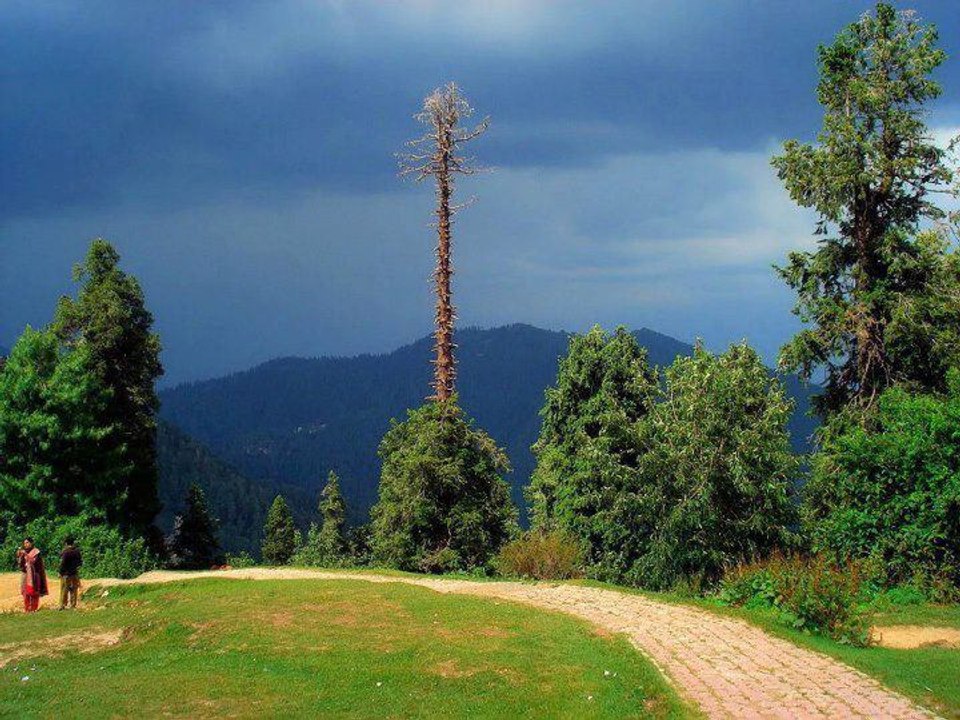 Welcome To Ayubia - The Historical Hiking Track You Love To Walk