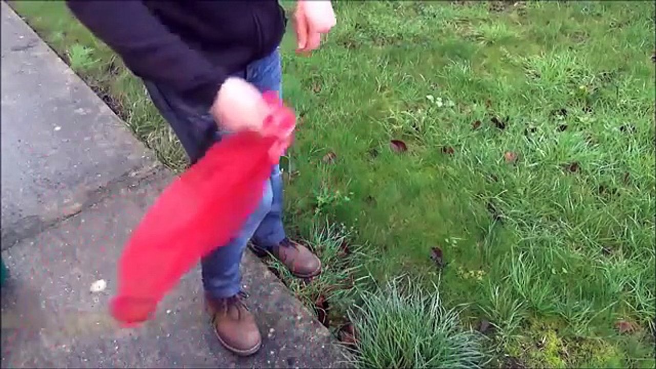 pêcher le crabe vert avec un sac ; astuce facile pour crustacés ; crabe enragé