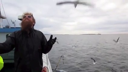 Gull Fisherman