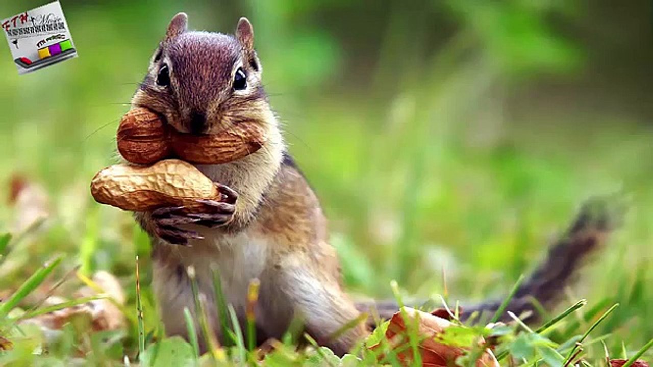 6 - ♪ ♫ ♩ ♬ Relaxing Music - Sleep Music - Study Music - Spa - Soothing Music - instrumental Music