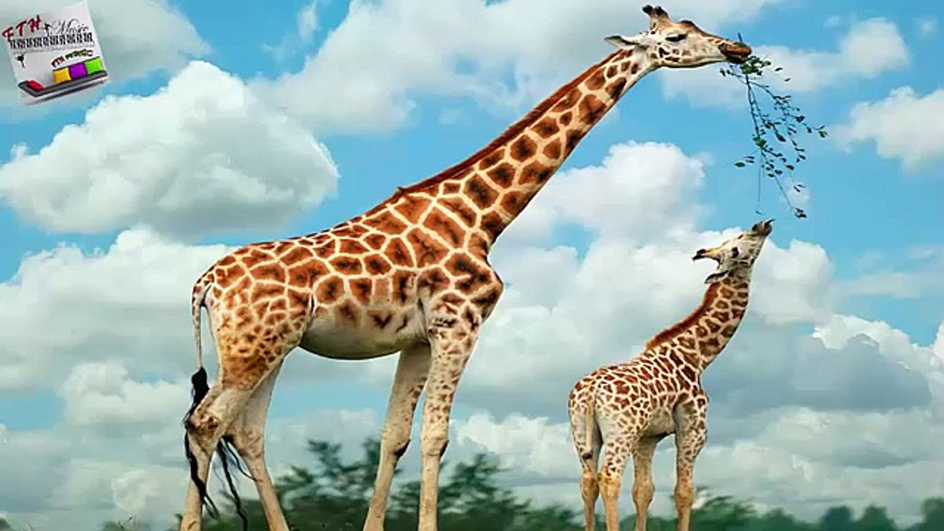 ⁣16 - ♪ ♫ ♩ ♬ Relaxing Music - Sleep Music - Study Music - Spa - Soothing Music - instrumental Music