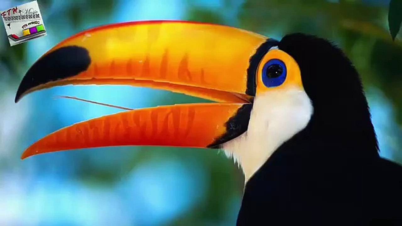 15 - ♪ ♫ ♩ ♬ Relaxing Music - Sleep Music - Study Music - Spa - Soothing Music - instrumental Music