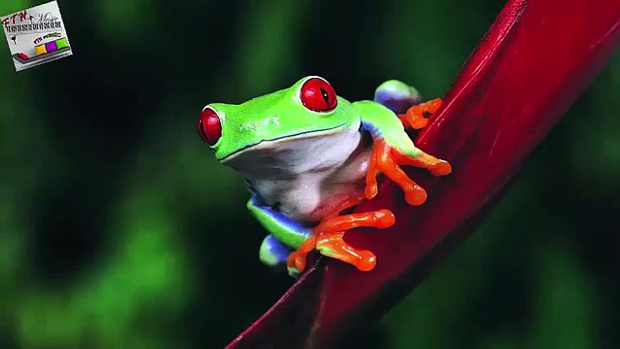 14 - ♪ ♫ ♩ ♬ Relaxing Music - Sleep Music - Study Music - Spa - Soothing Music - instrumental Music