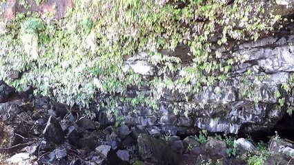Cap Marianne Littoral,Île de la Réunion.