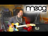 Moog Minifooger - MF Chorus & MF Flange Pedal Demo