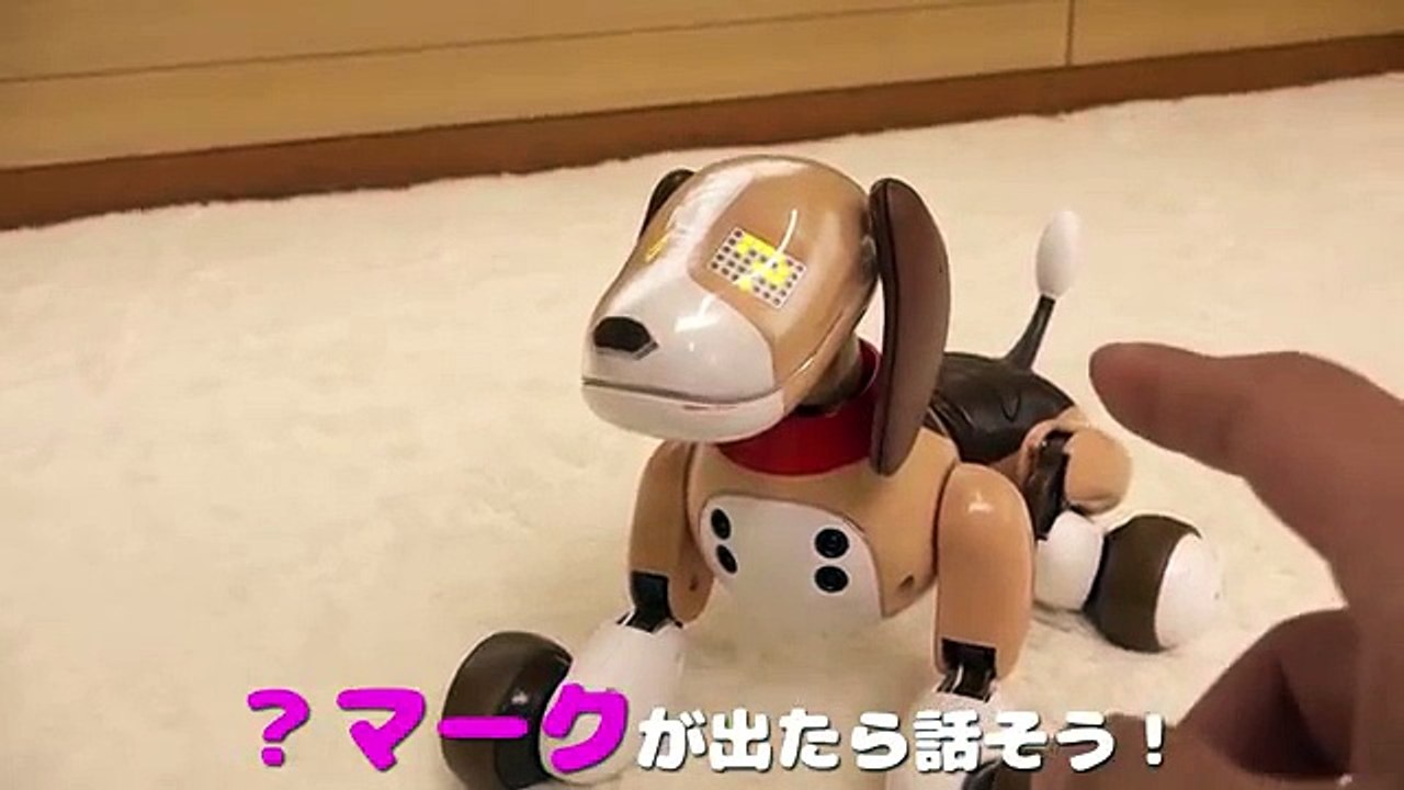 anpanman toys canada japan toys by playmore