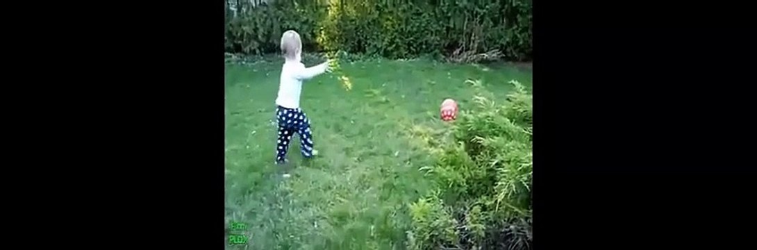 Clip hài hước nhất của động vật - chó mèo 2015 - Best Funny Animal Videos Compilation