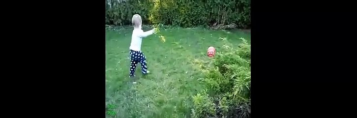 Clip hài hước nhất của động vật - chó mèo 2015 - Best Funny Animal Videos Compilation