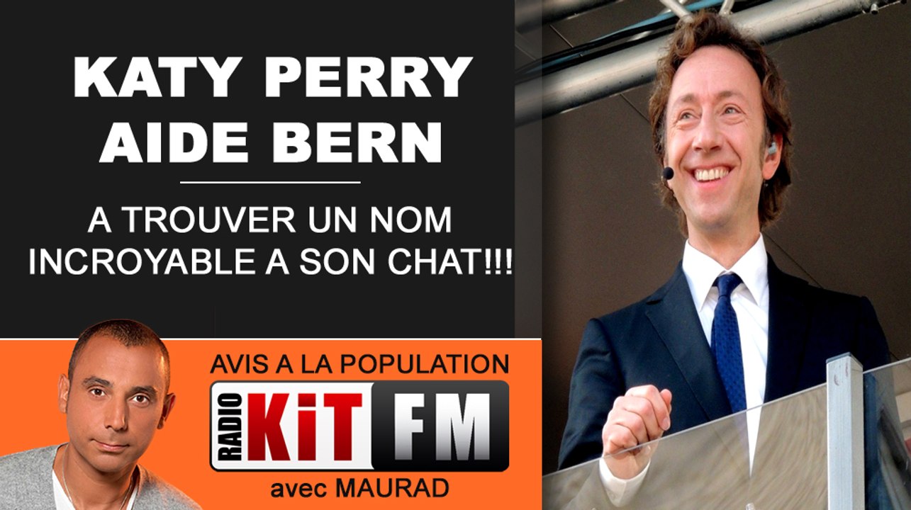 KATY PERRY TROUVE UN NOM AU CHAT DE STEPHANE BERN