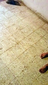 VID-20151016-WA0000.mp4