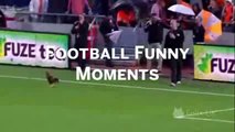 Funny Soccer Fails   Bonus Top 10 Own Goals - Sports Bloopers, Soccer Bloopers, Funny Socc