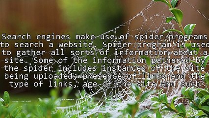 Create a Buzz in the Internet through Search Engine Marketing!