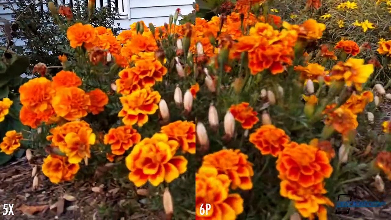 Nexus 5X vs Nexus 6P - Pocketnow