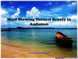 Create a Wonderful Tour in Andaman Islands