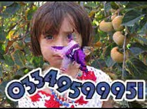 sardar ali takar dildary la zam added by lucky