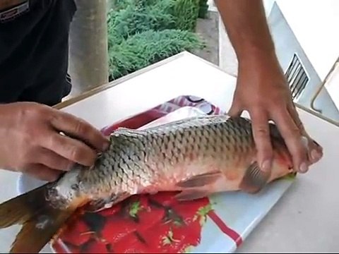 Как почистить рыбу в квартире и не испачкать кухню ?