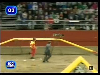 Voici l'un des chiens les plus rapides du monde