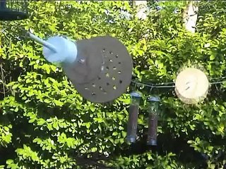 Squirrel Mission Impossible - by Funny Videos Collection