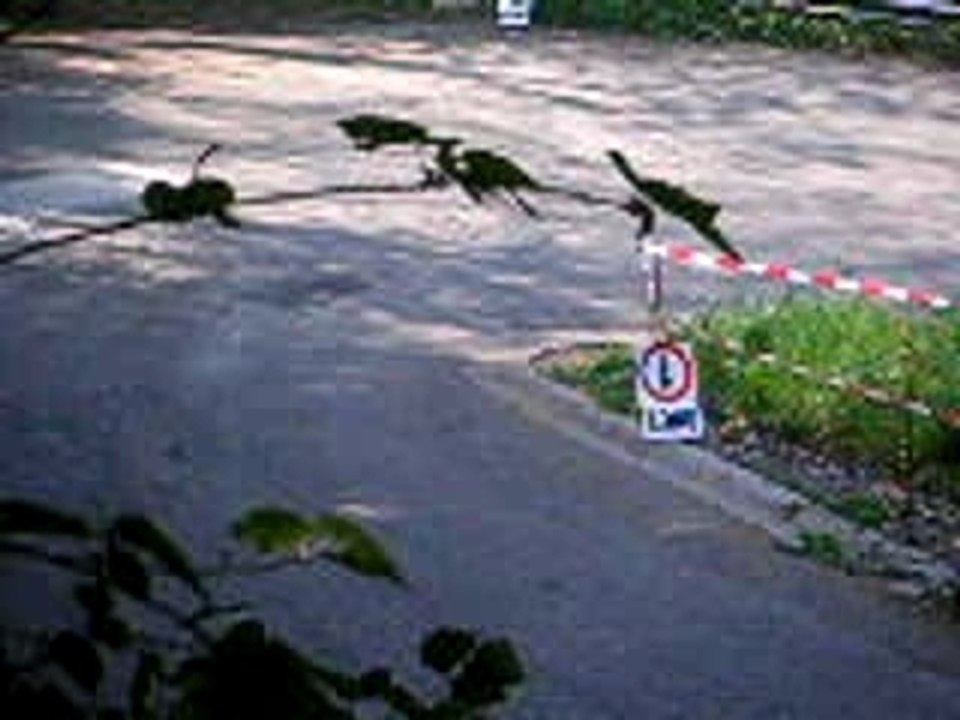 Rallye de wallonie 2007 039