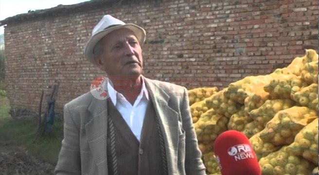 Korçë, Tregtimi i mollëve, Fermerët e Dvoranit: Thuajse po i falim- Ora News- Lajmi i fundit-