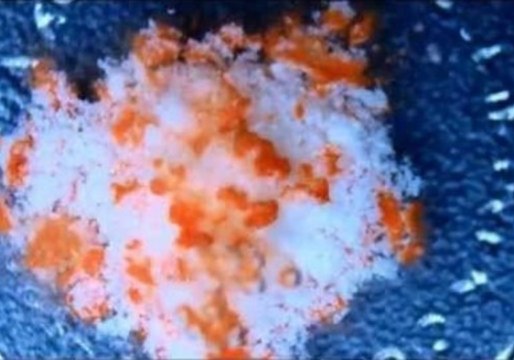 Pills Dissolve in Mesmerizing Timelapse