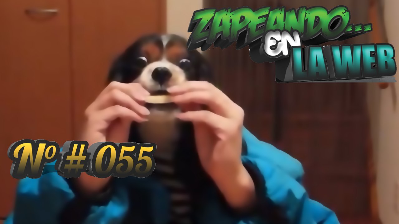 Zapeando En La Web | N°#055