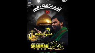 Shadman Raza 2015-2016 |Ya Abbas a.s Ya Ali a.s| noha