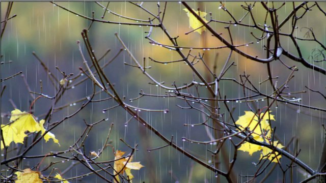 ты вышла ЗАМУЖ! ВИКТОР КОРОЛЕВ