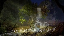 Wo-Kehti-Thi-Urdu poetry 2015