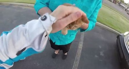 Une motarde risque sa vie pour sauver un chaton