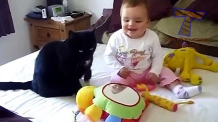 Best Funny cats complition with cute babies-latest on dailymotion