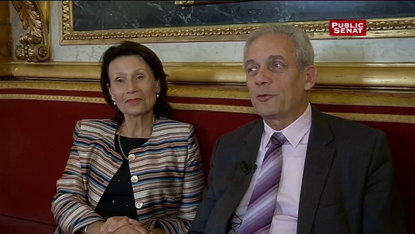 La sénatrice Marie-Françoise Perol-Dumont (PS) et Jean-Marc Gabouty (UDI)  mettent en commun leur réserve parlementaire - Vidéo Dailymotion