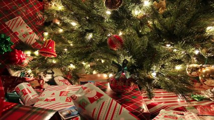 Christmas Gift - Holiday Cheer Hops Here by Stephen Cherokee Drury