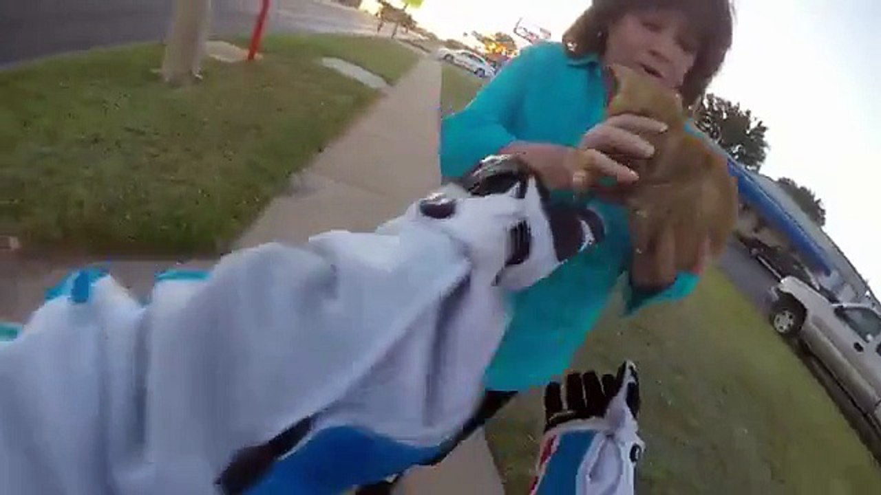 Une motarde sauve un chaton