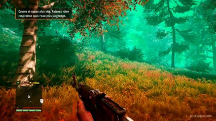 Yogi et Reggie - Perdu et désorienté