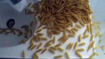 Youre Doing It All Wrong - How to Sauce Pasta