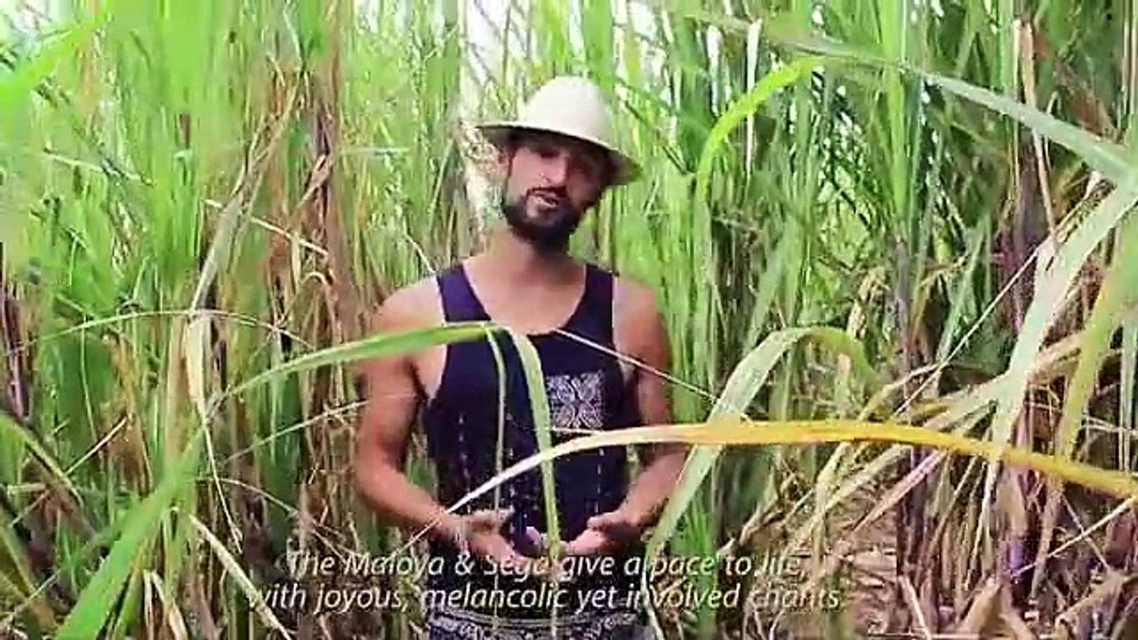 Portraits de la Réunion