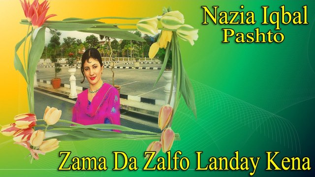 Nazia Iqbal - Zama Da Zalfo Landay Kena