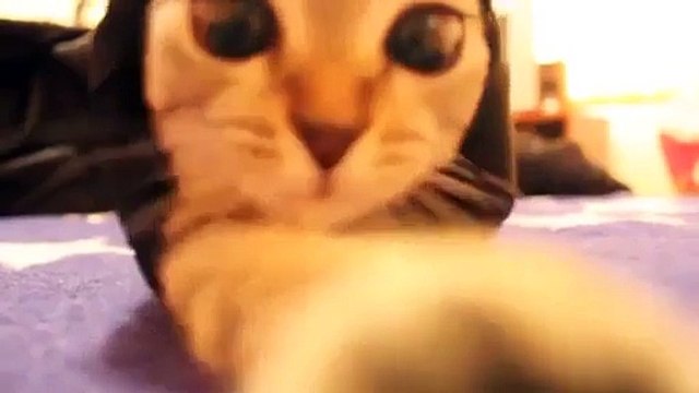 Carinanın Günlüğü Sivas93 (Madımak Oteli Katliamı) - Funny videos - Komik videolar