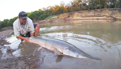 Hook Shots: Texas Gator Gar Redemption