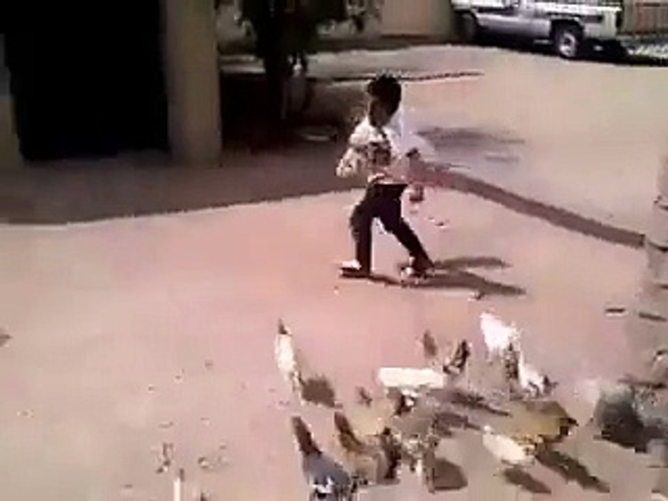 Funny Videos Compilation 2015  WhatsApp Videos Funny Indian Videos  Vine Compilation Part 175