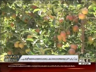 Waqt Special - 21st October 2015