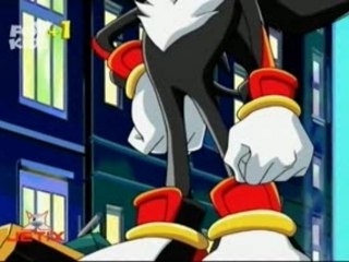 Animal I Have Become ~ Shadow