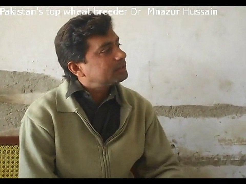 Wheat diseases and solutions