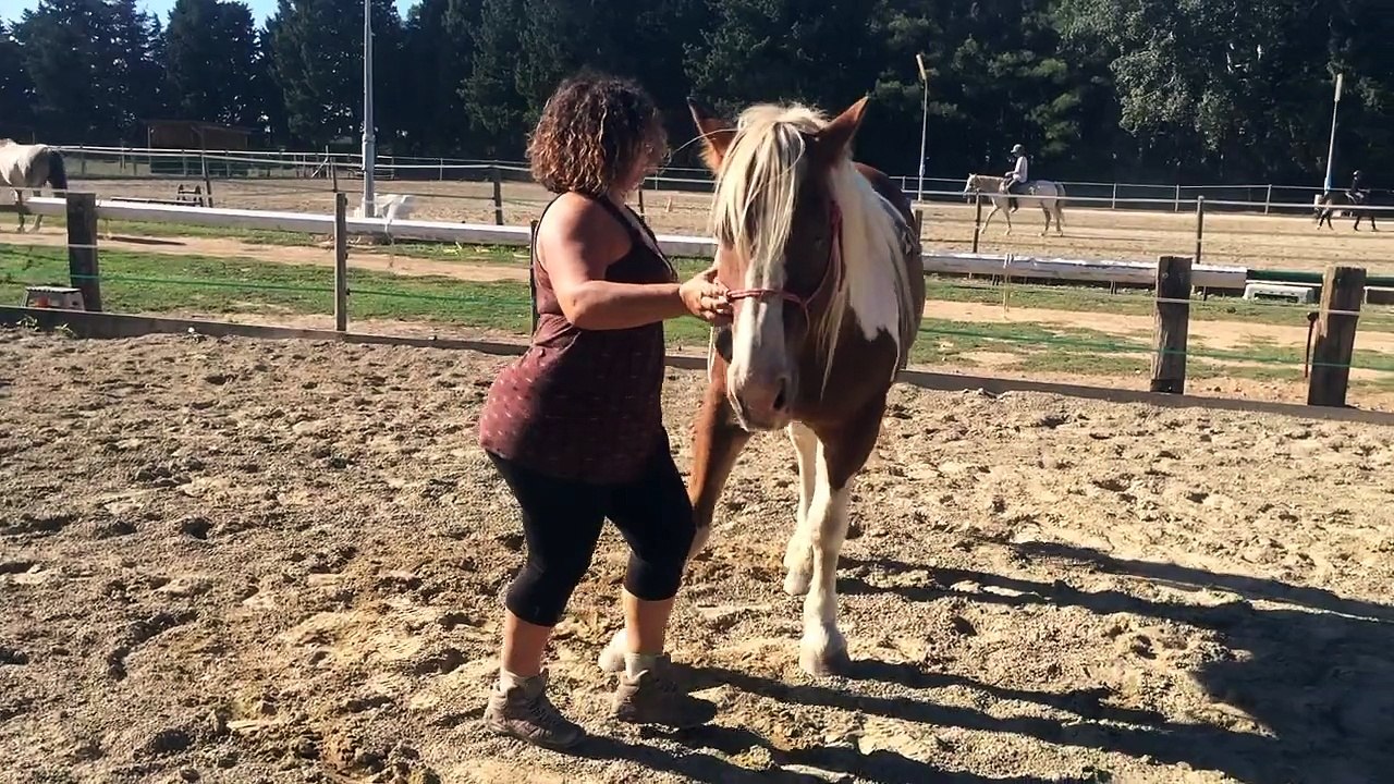 Challenge 1 - Cendrine & Ringo - 7 jeux