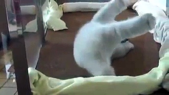 Esta soy yo intentando hacer abdominales en el gimnasio